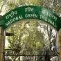 बरनाला में विरासत पेड़ों की कटाई पर NGT सख्त, मुख्य सचिव सहित अधिकारियों को नोटिस