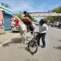गैस की कमी के खिलाफ नाटकीय प्रदर्शन, डाकू के वेश में निकले पूर्व काउंसलर