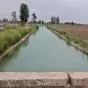 Punjab Canals Flow Beyond Capacity as Paddy Transplantation Peaks