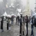 Landslides Threaten Homes in Shimla as Heavy Rain Continues; Yellow Alert Issued
