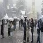 Landslides Threaten Homes in Shimla as Heavy Rain Continues; Yellow Alert Issued