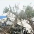 Tragic Plane Crash in Northern Andros Claims 10 Lives; Bahamas Launches Investigation