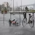 Typhoon Bavi Leaves 18 Dead in the Philippines, 12 Still Missing