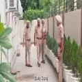 Petrol Bomb Attack on BJP District Office in Sangrur; Police and Forensic Teams Launch Investigation