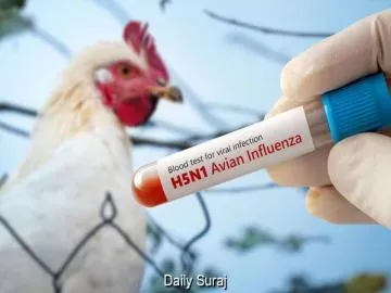Australia Reports Seven New Suspected H5N1 Bird Flu Cases in South Australia