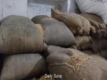 ਮੱਕੀ ਦੀ ਵਧੀ ਮੰਗ ਨਾਲ ਪੋਲਟਰੀ ਫੀਡ ਮਹਿੰਗੀ