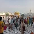 ਸ੍ਰੀ ਗੁਰੂ ਗ੍ਰੰਥ ਸਾਹਿਬ ਜੀ ਦੇ ਪਹਿਲੇ ਪ੍ਰਕਾਸ਼ ਪੁਰਬ 'ਤੇ ਅੰਮ੍ਰਿਤਸਰ 'ਚ ਅਲੌਕਿਕ ਰੌਣਕਾਂ, ਗੁਰਦੁਆਰਾ ਸ੍ਰੀ ਰਾਮਸਰ ਸਾਹਿਬ ਤੋਂ ਸਜਾਇਆ ਨਗਰ ਕੀਰਤਨ