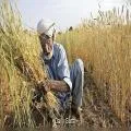 ਛੋਟੇ ਤੇ ਸੀਮਾਂਤ ਕਿਸਾਨਾਂ ਲਈ ਵੱਡੀ ਪਹਿਲ, 6 ਲੱਖ ਰੁਪਏ ਤੱਕ ਮਿਲੇਗਾ ਕਰਜ਼ਾ