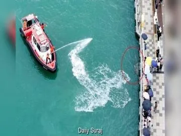11.48-Foot Shark Trapped in Busan Canal Turns Into Major Tourist Attraction