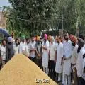 मुख्यमंत्री भगवंत सिँह मान की अगुवाई वाली राज्य सरकार द्वारा राज्यभर में धान की सुचारू खरीद के लिए पुख्ता प्रबंध: लाल चंद कटारूचक