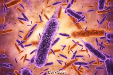 Health Department Intensifies Vigilance as Shigella Cases Emerge in Parts of Kerala
