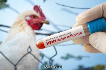 ऑस्ट्रेलिया में H5N1 बर्ड फ्लू के 7 नए संदिग्ध मामले, निगरानी बढ़ाई गई