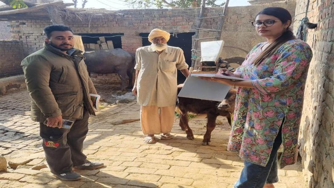 ਟੀਮਾਂ ਵੱਲੋਂ ਜ਼ਿਲ੍ਹੇ ’ਚ 15 ਕਿਸਮਾਂ ਦੇ ਜਾਨਵਰਾਂ ਤੇ ਮਹਿਲਾ ਪਸ਼ੂ ਪਾਲਕਾਂ ਦੀ ਘਰ-ਘਰ ਕੀਤੀ ਜਾ ਰਹੀ ਗਣਨਾ : ਨਾਗਪਾਲ