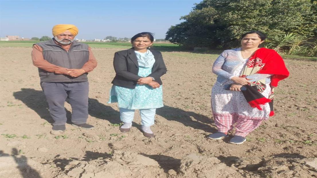 ਖੇਤੀਬਾੜੀ ਅਫ਼ਸਰ ਵੱਲੋਂ ਵੱਖ-ਵੱਖ ਪਿੰਡਾਂ 'ਚ ਸਰ੍ਹੋਂ ਦੇ ਖੇਤਾਂ ਦਾ ਦੌਰਾ