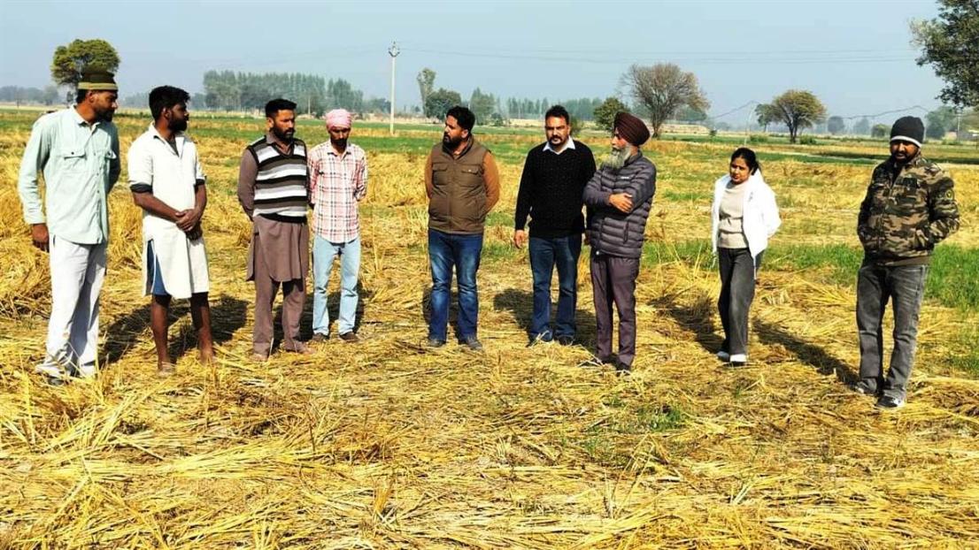 ਖੇਤੀਬਾੜੀ ਵਿਭਾਗ ਦੀ ਟੀਮ ਨੇ ਪਿੰਡ ਭੈਣੀ ਬਾਘਾ ਵਿਖੇ ਕੀਤਾ ਖੇਤਾਂ ਦਾ ਦੌਰਾ