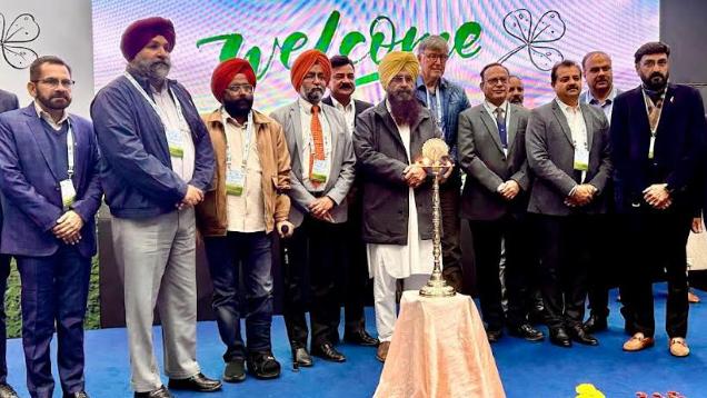 PUNJAB AIMS TO BOOST LIVESTOCK PRODUCTIVITY WITH ALFALFA CULTIVATION