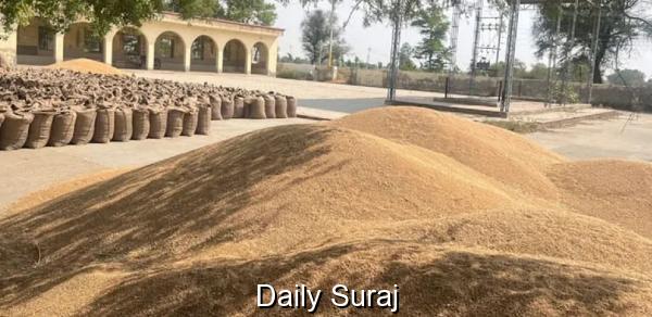 ਕਣਕ ਦੀ ਖ਼ਰੀਦ: ਪਿੰਡ ਬਾਦਲ ’ਚ ਸ਼ਮਸ਼ਾਨਘਾਟ ਨੂੰ ਬਣਾਇਆ ਮੰਡੀ ਦਾ ਫੜ੍ਹ