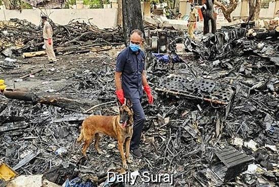 Air India Crash: 144 DNA Samples Successfully Matched, Says Gujarat Home Minister
