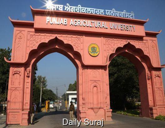 PAU Ranked 2nd Nationwide, No.1 Among State Agricultural Universities in IIRF 2025