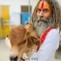 मथुरा में साधु की मौत पर हंगामा, लोगों ने लगाया गौ तस्करी का आरोप
