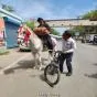 गैस की कमी के खिलाफ नाटकीय प्रदर्शन, डाकू के वेश में निकले पूर्व काउंसलर
