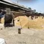 Punjab Farmers Get Major Boost as Centre Eases Wheat Purchase Criteria