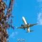 International Flights Resume at Tehran Airport Amid Iran-US Tensions
