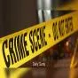 ਤਰਨਤਾਰਨ 'ਚ ਸਨਸਨੀਖੇਜ਼ ਵਾਰਦਾਤ: ਦੋ ਨੌਜਵਾਨਾਂ ਦਾ ਗੋਲੀਆਂ ਮਾਰ ਕੇ ਕਤਲ, ਚੋਹਲਾ ਸਾਹਿਬ ਨੇੜੇ ਸੜਕ ਕਿਨਾਰੇ ਮਿਲੀਆਂ ਲਾਸ਼ਾਂ