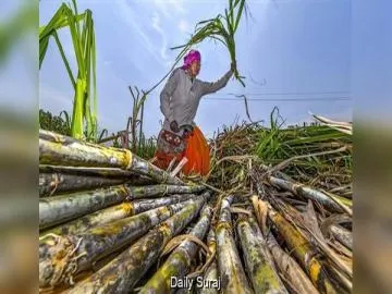 Ethanol Policy Shift: Oil Companies Seek 11 Billion Litres, Cut Incentive for Corn-Based Ethanol