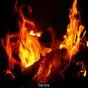 Fire Breaks Out on North Block Roof in Delhi; 6 Tenders Douse Flames After AC Short Circuit