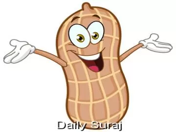 ਮੂੰਗਫਲੀ