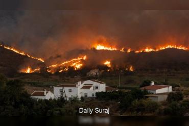 Spain Wildfire: 13 Dead, 10 Still Missing After Massive Forest Fire in Almeria